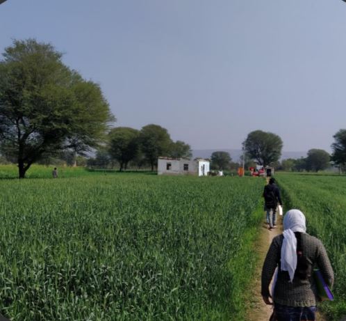 Improving Survey Quality using Para Data: Lessons from  the India Working Survey