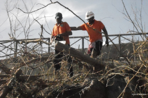 Climate resilience & Social Justice