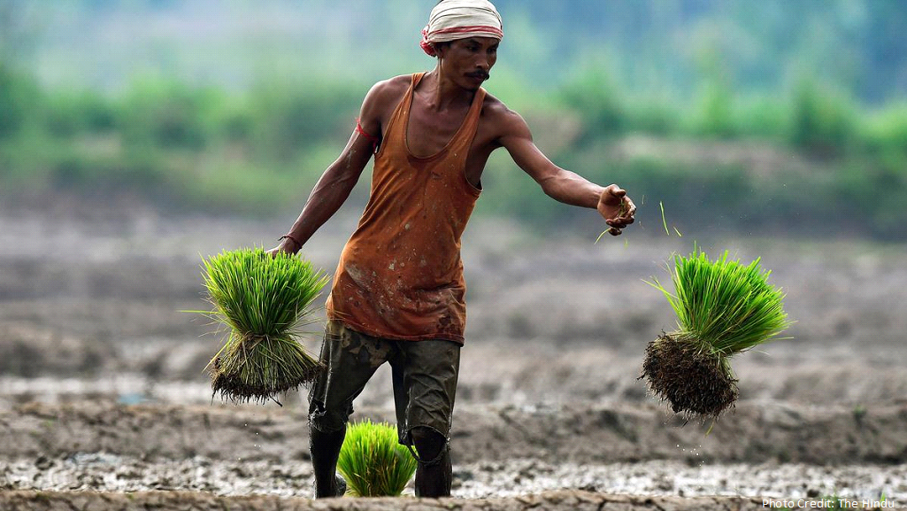 The road to 2047 for Indian agriculture