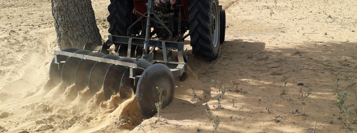 ‘Farming’ research