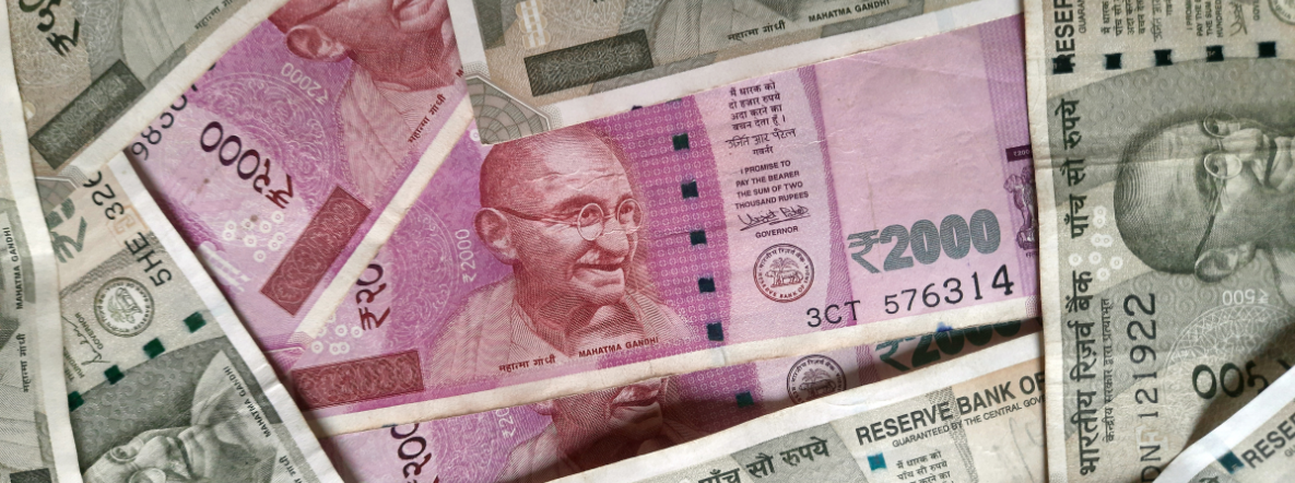 Freeing the white elephants: Why privatisation of public banks can only be good