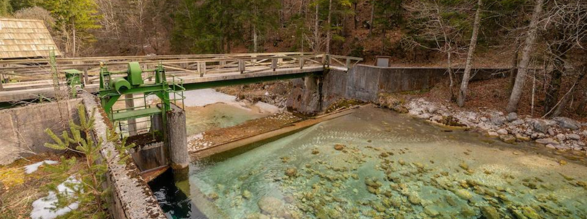 The way forward for Odisha power sector