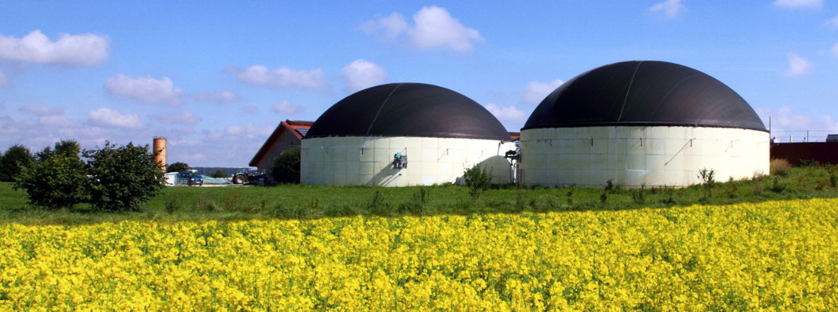 How India can give a boost to biofuels