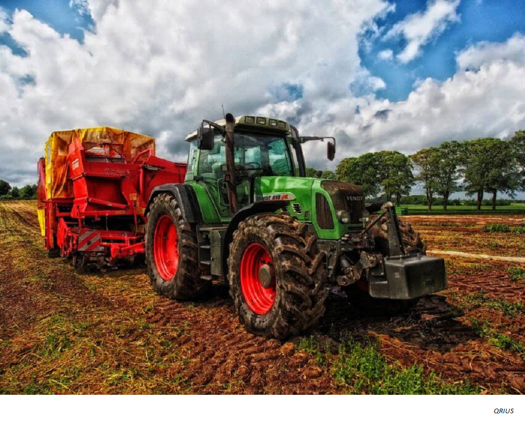 The Digital Harvest: Unlocking AI’s Promise in Revolutionizing Agriculture