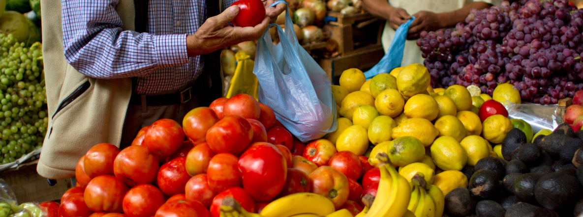 Monetary policy hostage to vegetable prices: PM’s advisory council member