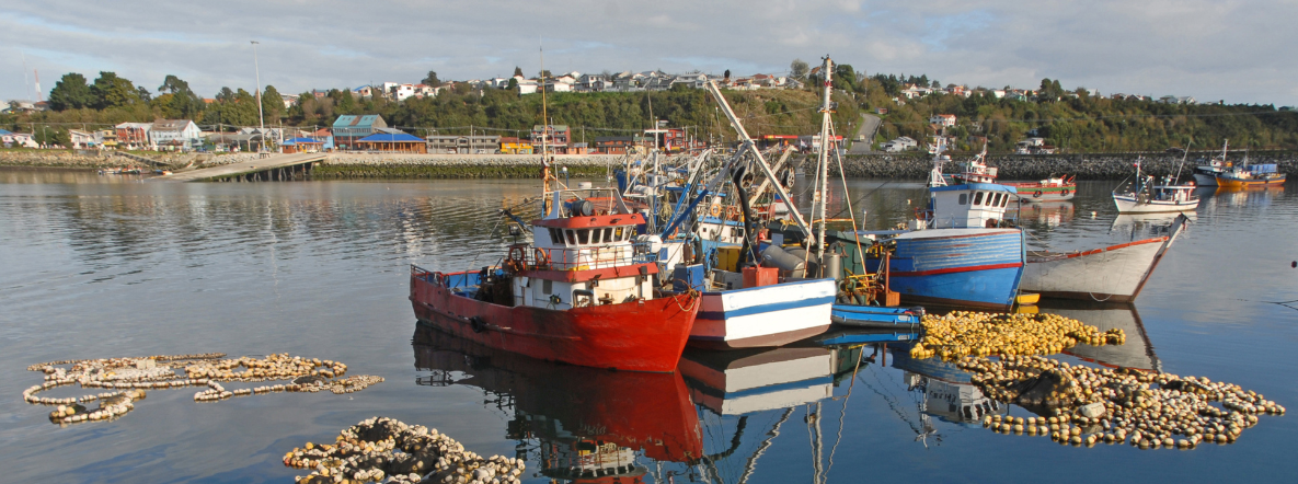 Nutritional security: Fishery demand in India could have been better managed