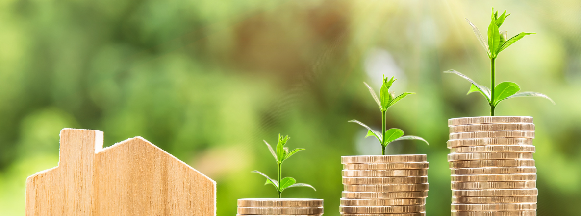 Towards doubling farmers’ income