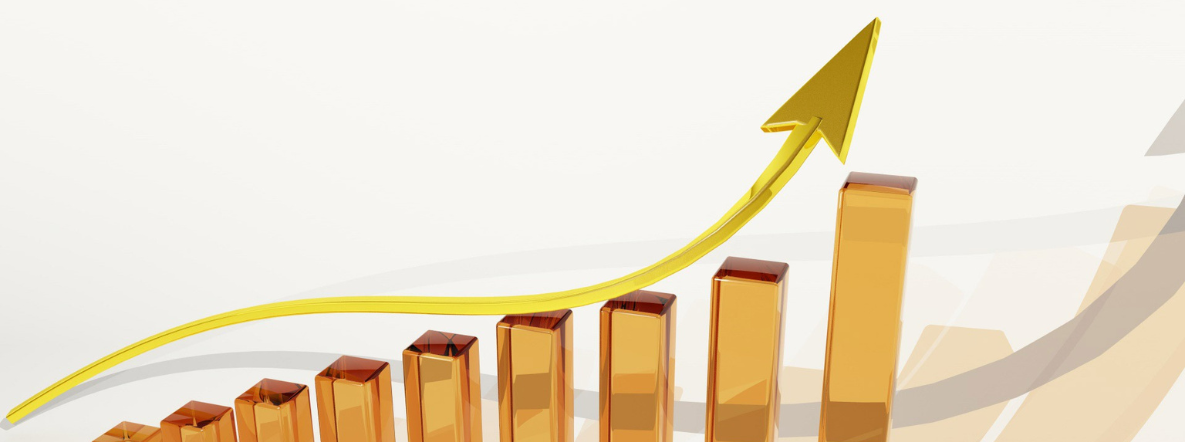 Where will India’s economic growth settle in the next 2-3 years?