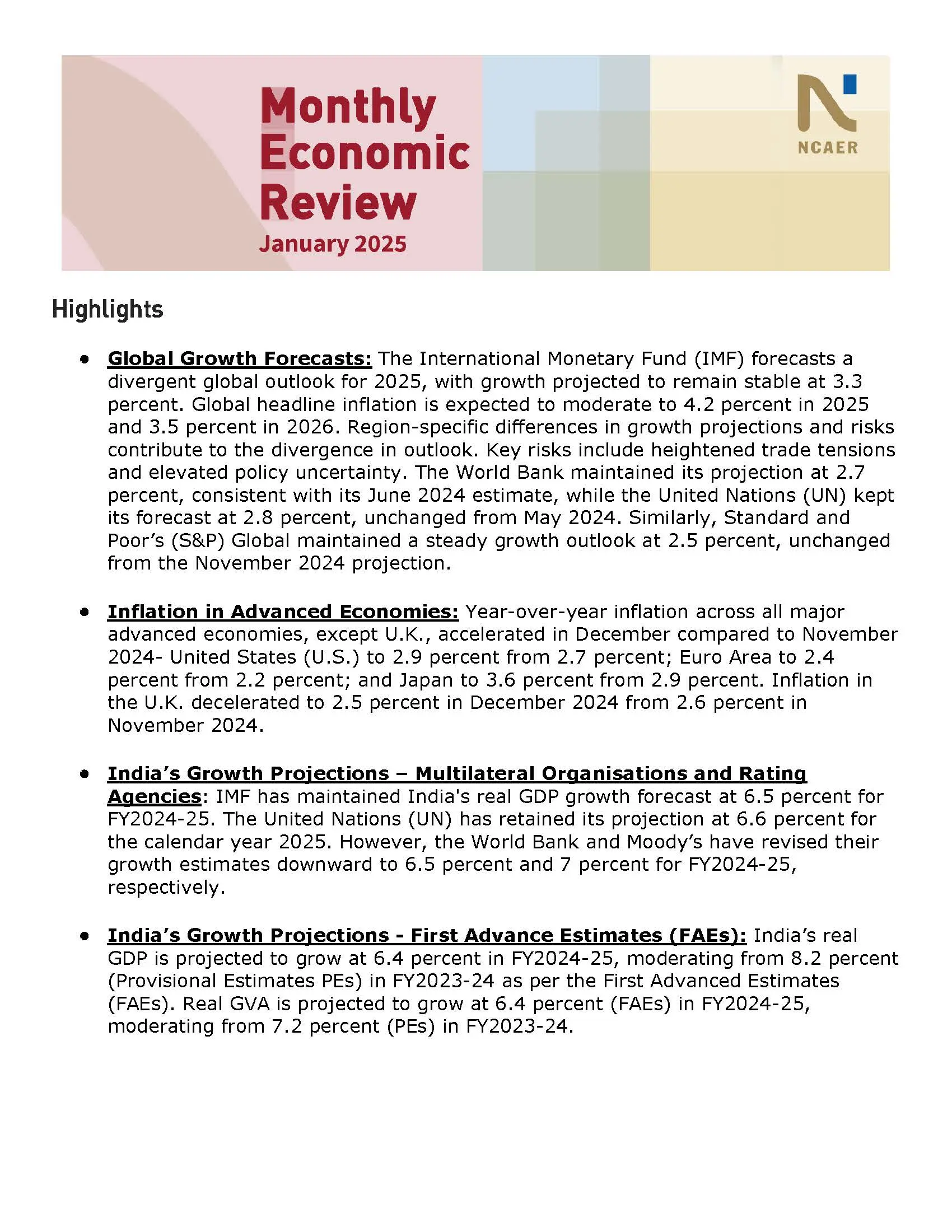 Monthly Economic Review: January 2025