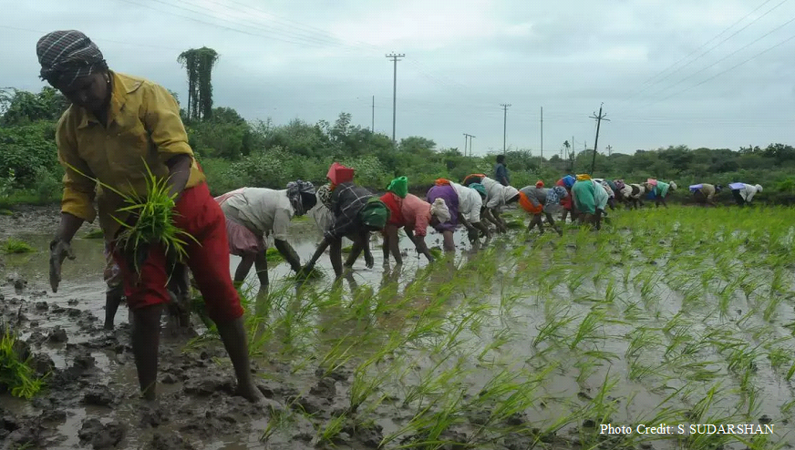 Kisan Credit Card: Is limit enhancement enough?