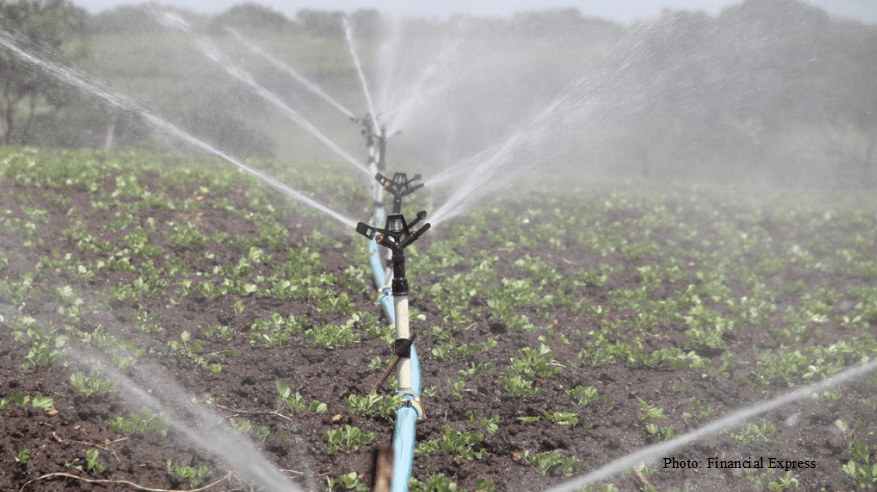 Irrigation and cropping must be in sync