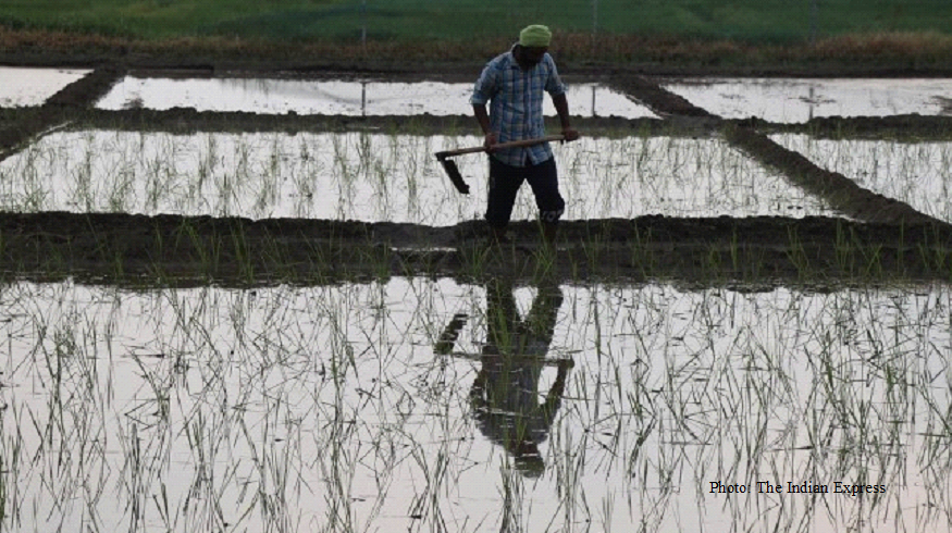India cannot resolve its food challenge without fixing how it uses water