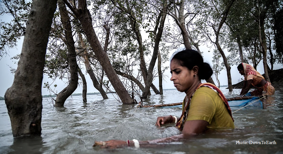 The Sundarbans: Rising waters, lost childhoods, and Bengal’s fight for survival