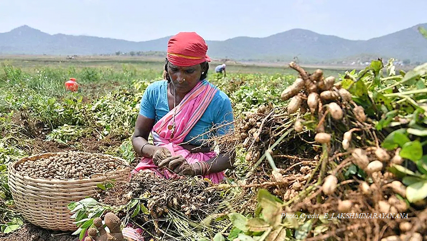 Plug the gaps in agriculture sector