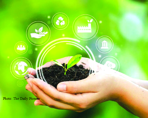 Biofuel Paradigm and The Need For The Subaltern Biodiesel to be back?