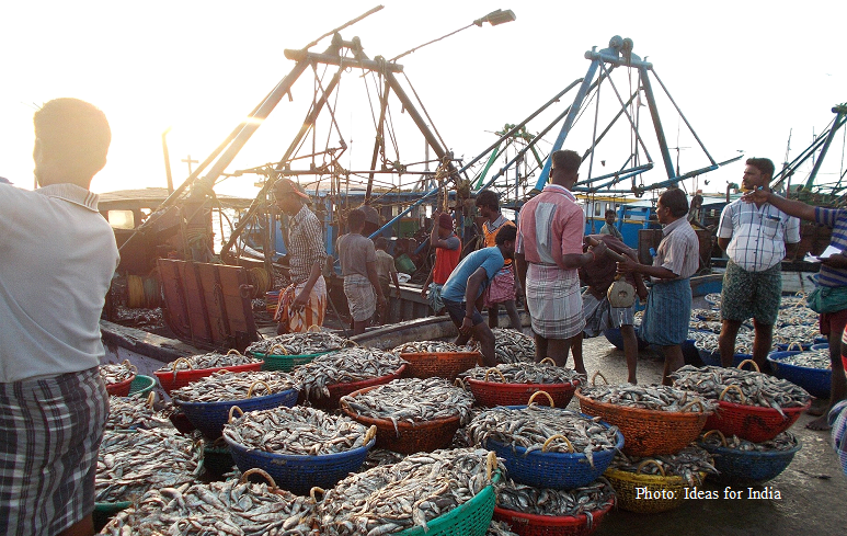 From freshwater staples to premium seafood: India’s quiet dietary transition
