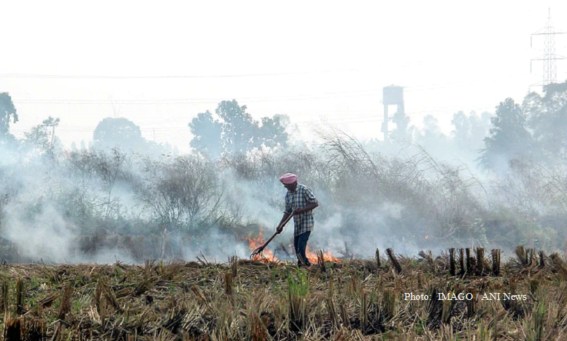 Stubble Burning: Can Delhi Turn a Challenge Into An Opportunity?