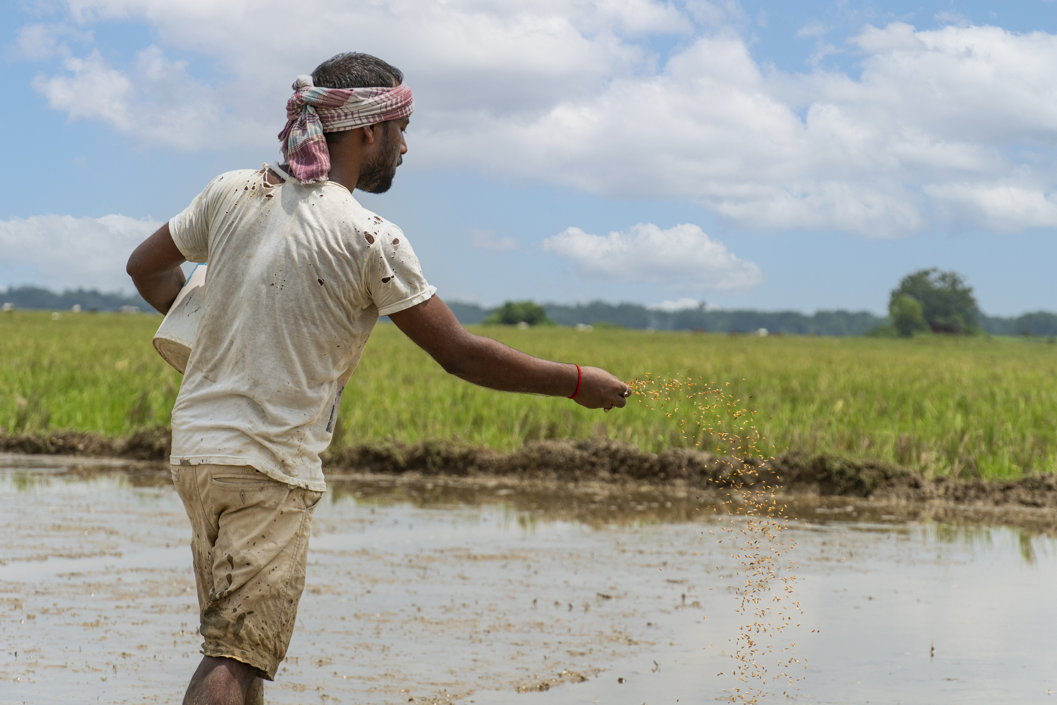 An uneven monsoon calls for an early food-supply response