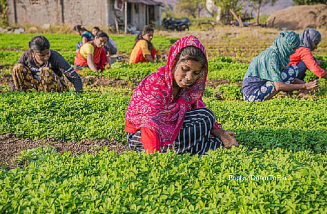 Now that India can see its farms, what next?
