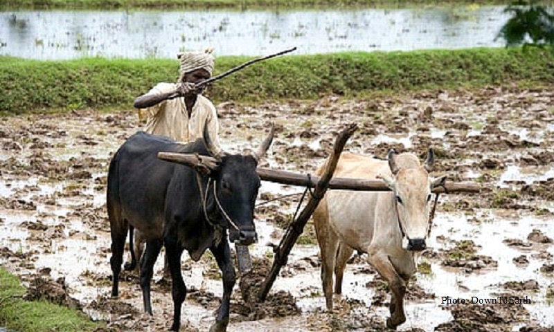 India needs a human- and farmer-centred model of agricultural AI