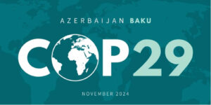 COP29 : Another missed opportunity?