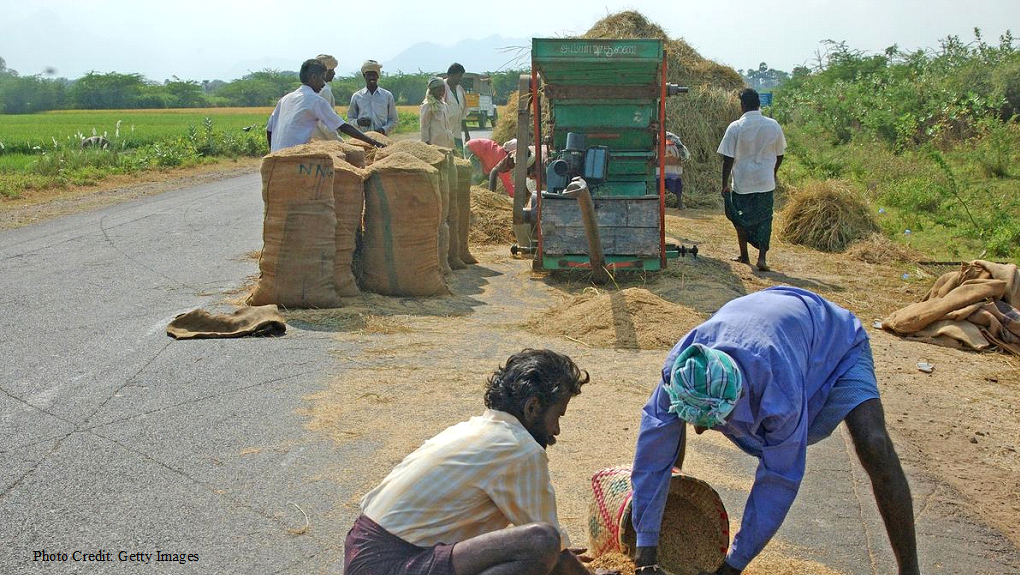 In energy-dependent world, the issue of food security