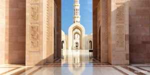 What happened in Muscat? The future of sovereign-owned funds